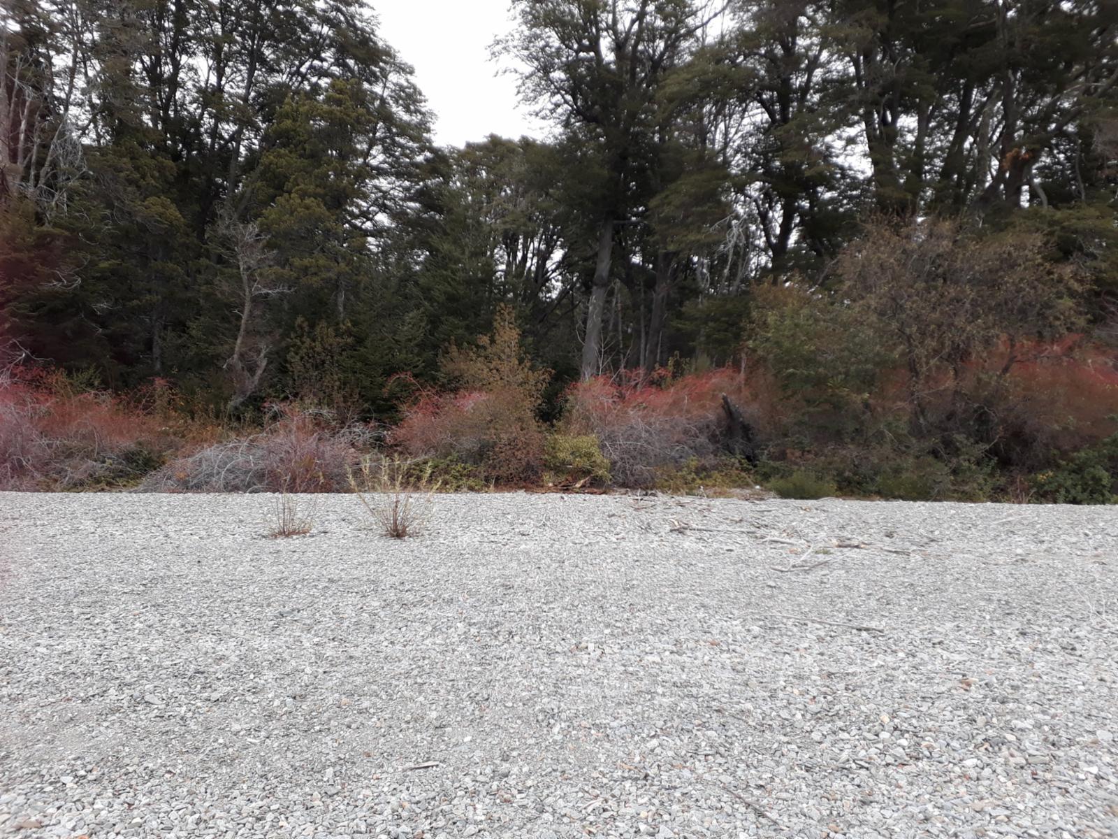 ruta 40 sur  a 20 min del centro · Bariloche — foto 11