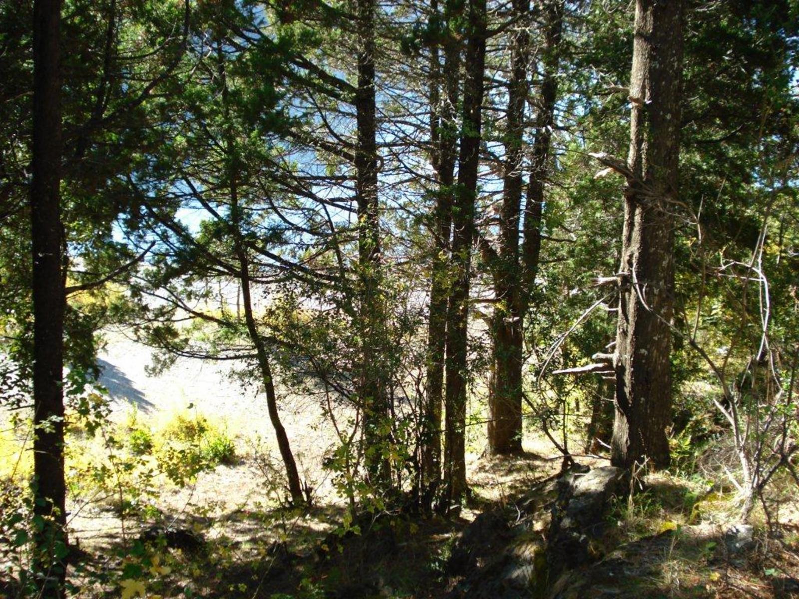 ruta 40 sur  a 20 min del centro · Bariloche — foto 3