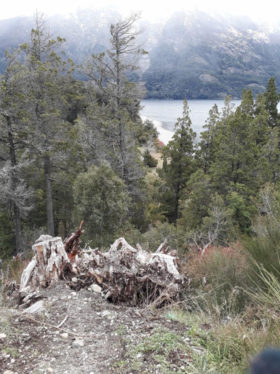 ruta 40 sur  a 20 min del centro · Bariloche — foto 4