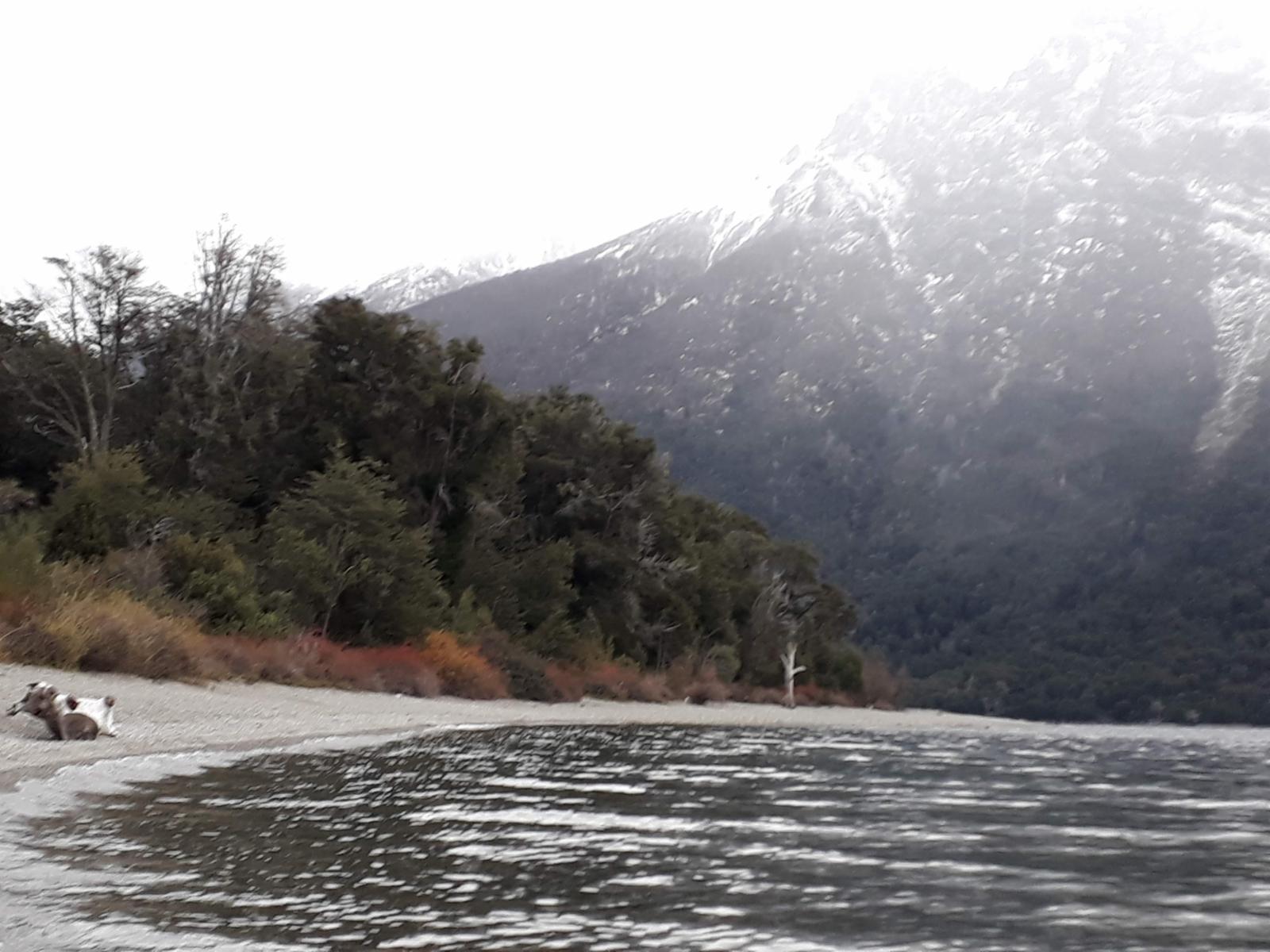 ruta 40 sur  a 20 min del centro · Bariloche — foto 5