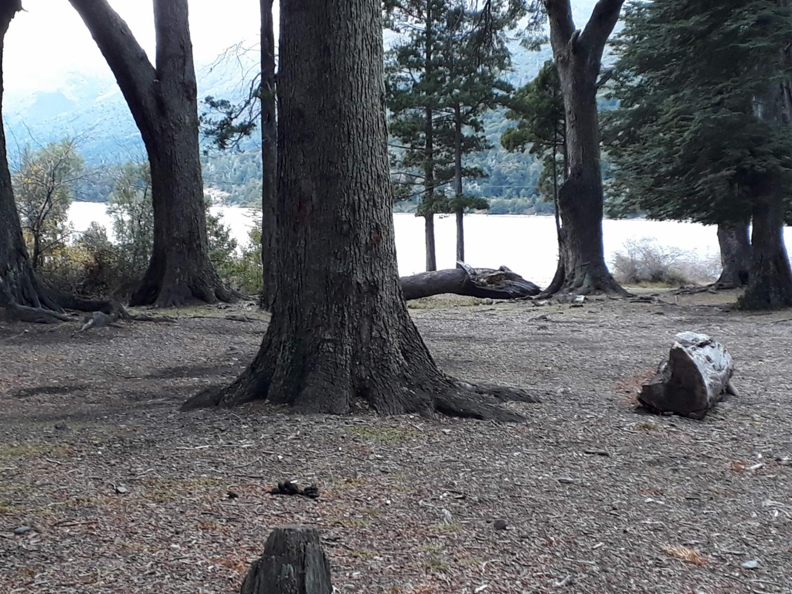 ruta 40 sur  a 20 min del centro · Bariloche — foto 7
