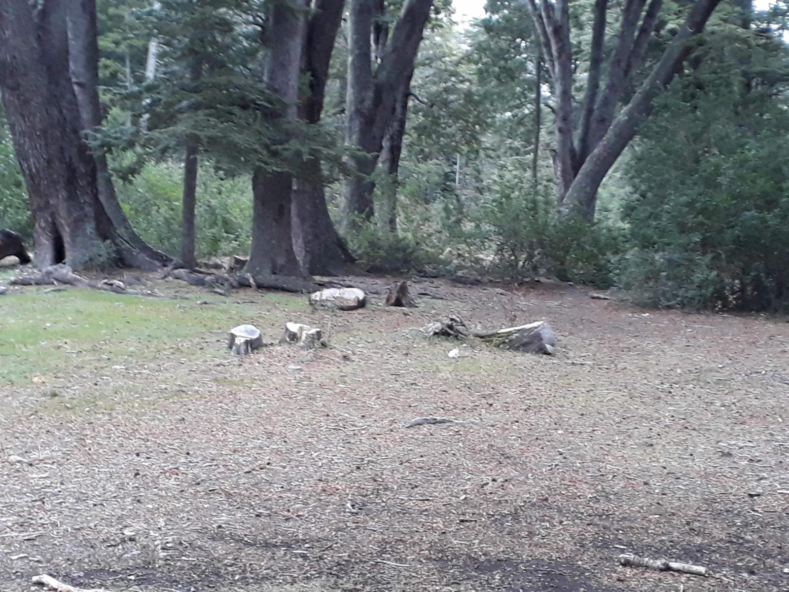 ruta 40 sur  a 20 min del centro · Bariloche — foto 8