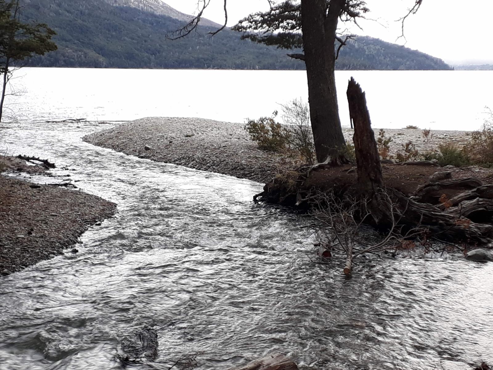 ruta 40 sur  a 20 min del centro · Bariloche — foto 10