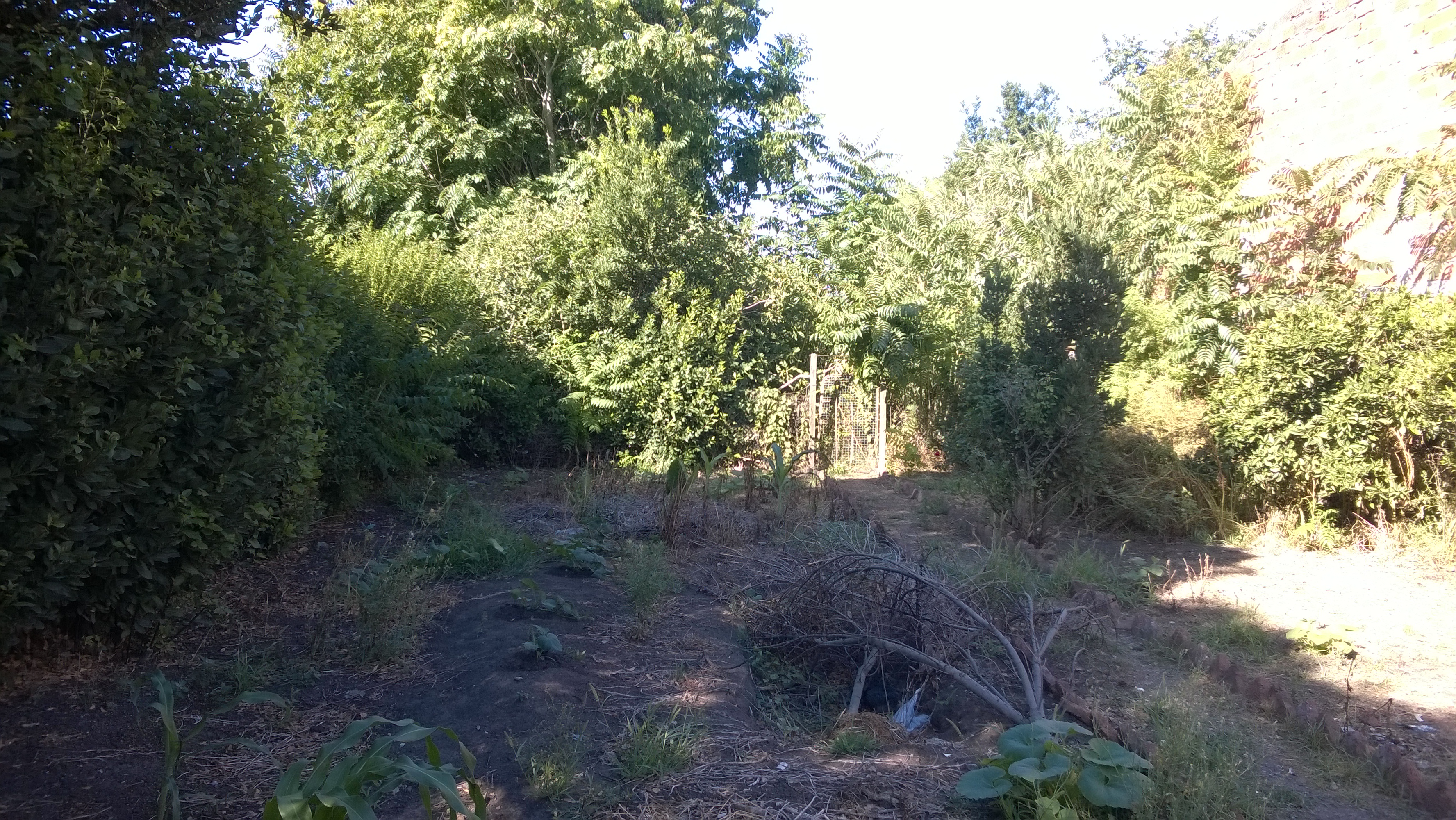 11 · Balcarce — foto 18