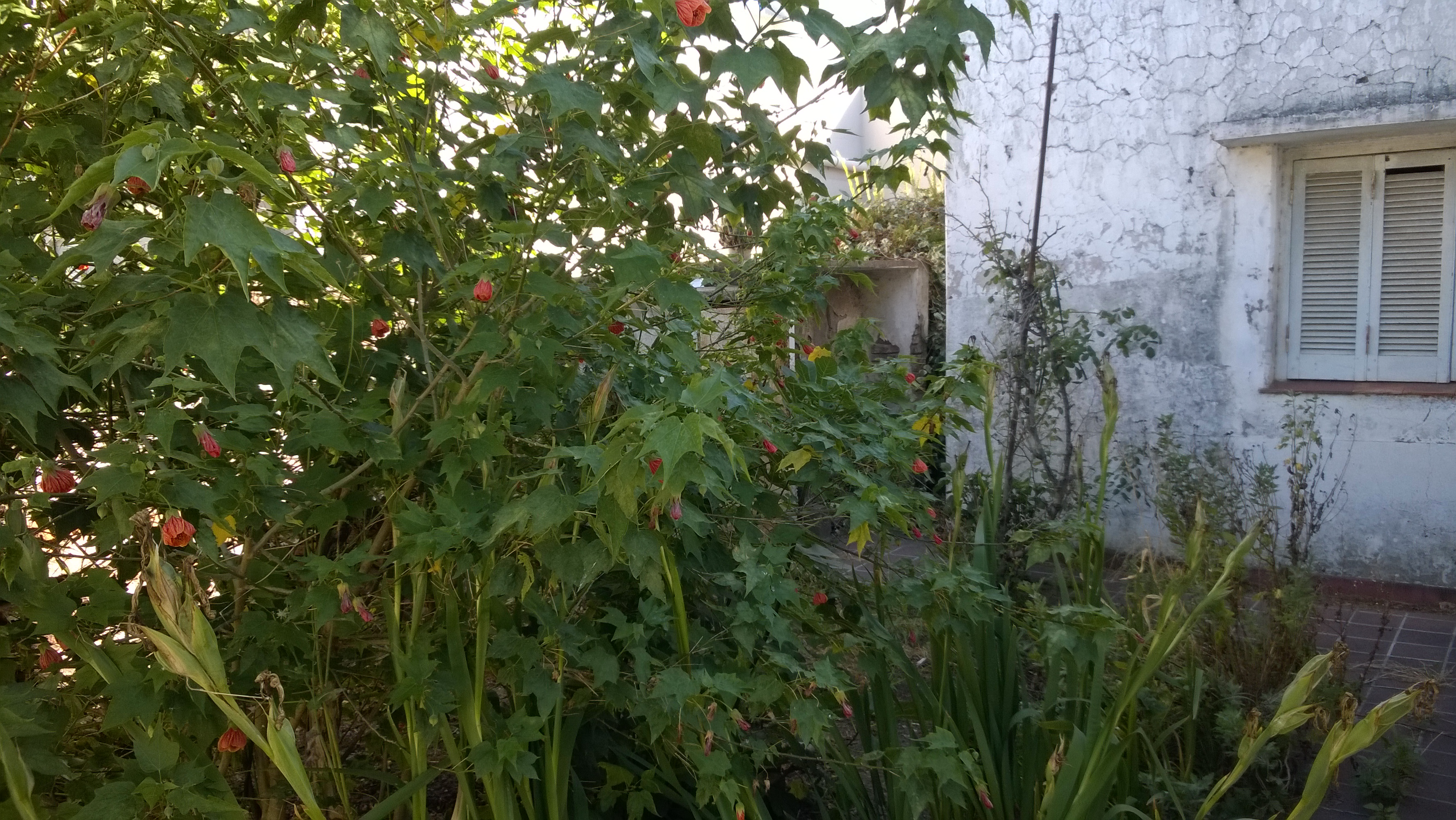 11 · Balcarce — foto 19