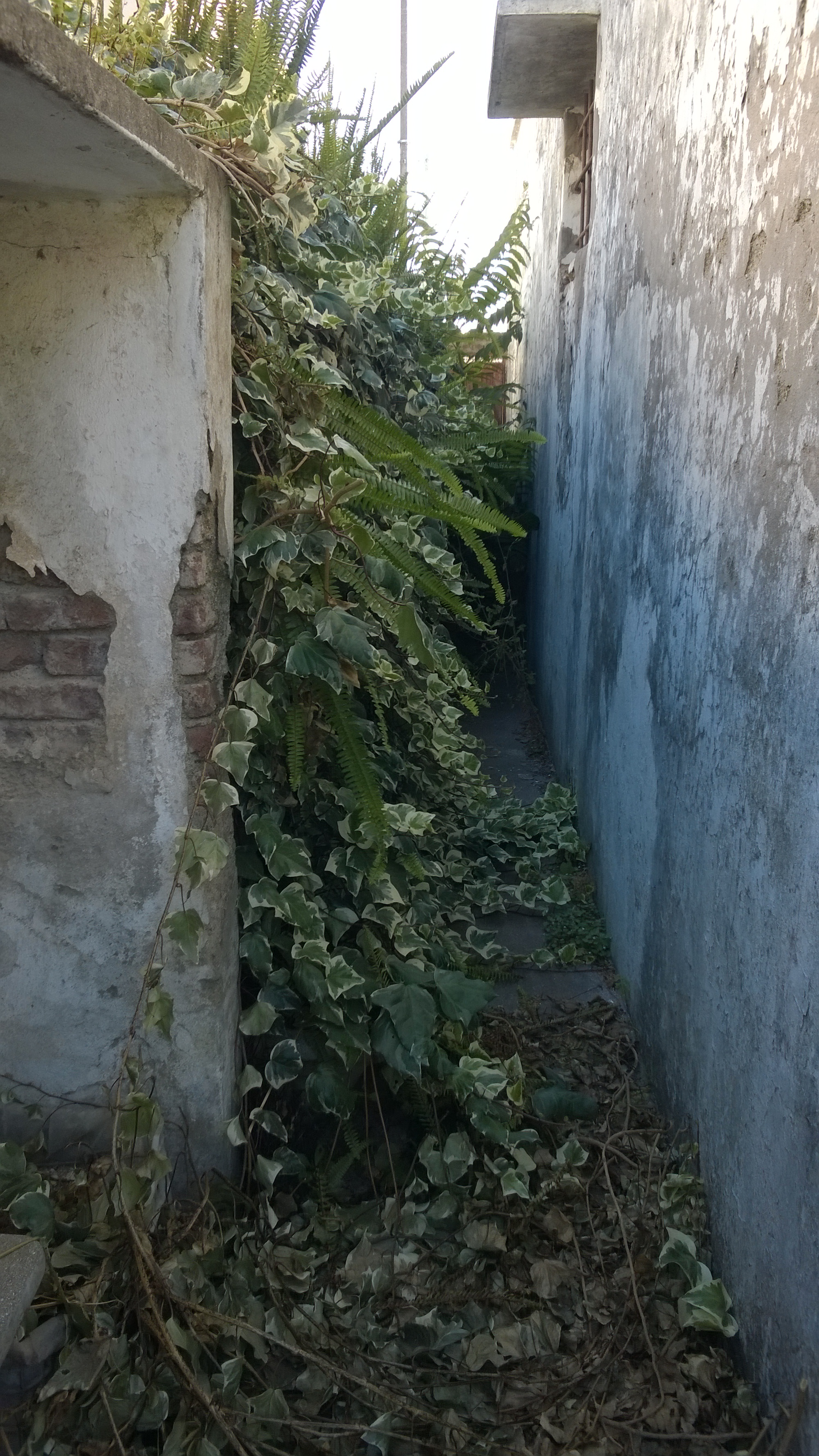 11 · Balcarce — foto 20