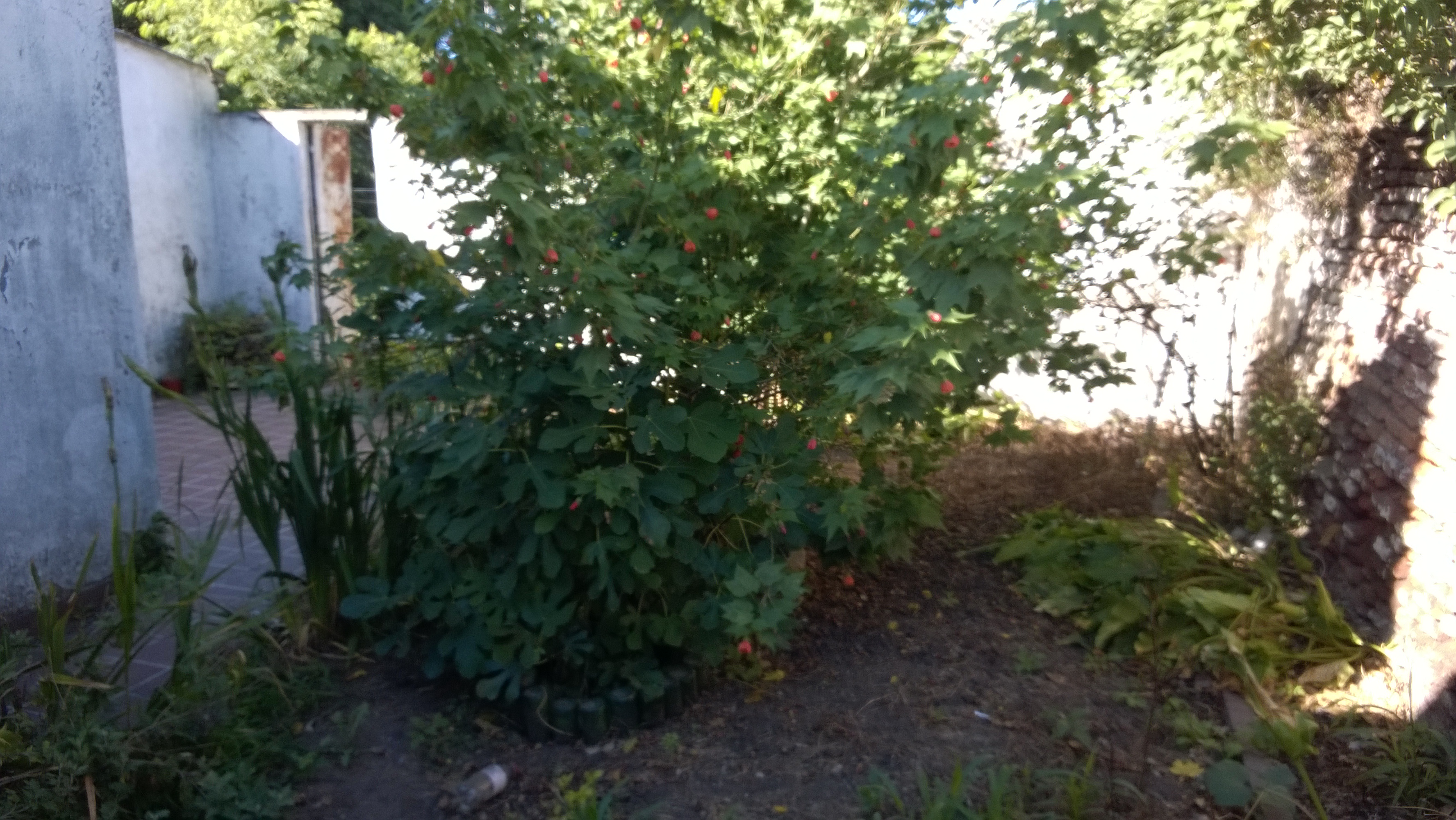 11 · Balcarce — foto 21