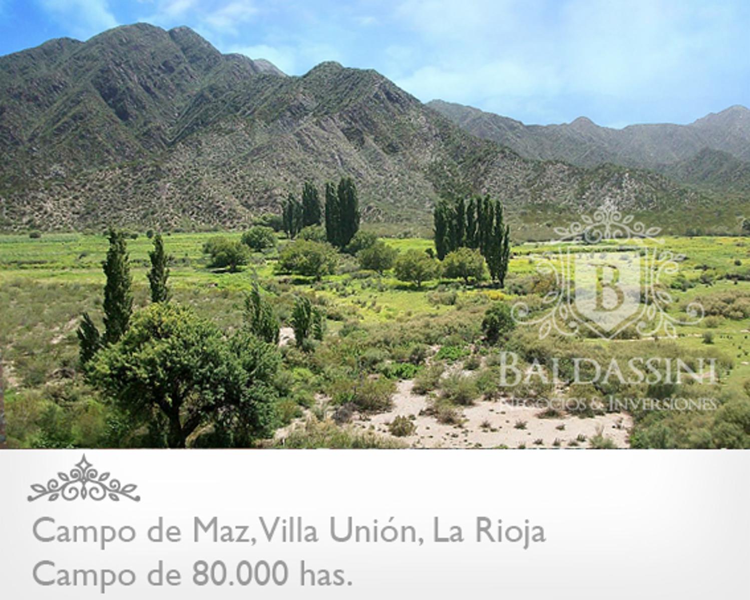 CAMPO DE 80.000 HAS. 