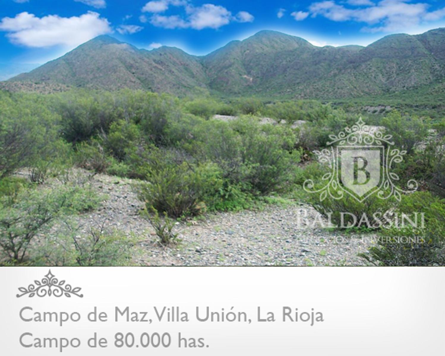 80000 has en Villa Unión - La Rioja · Coronel Felipe Varela — foto 3
