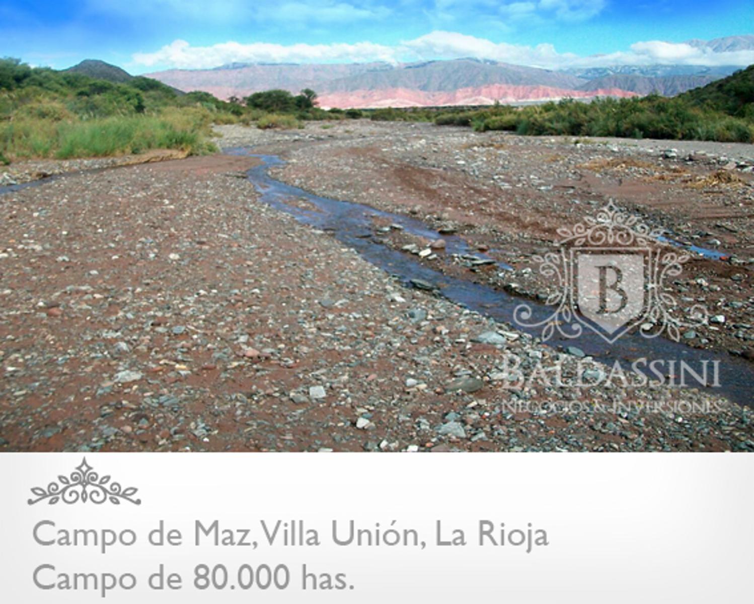 80000 has en Villa Unión - La Rioja · Coronel Felipe Varela — foto 4