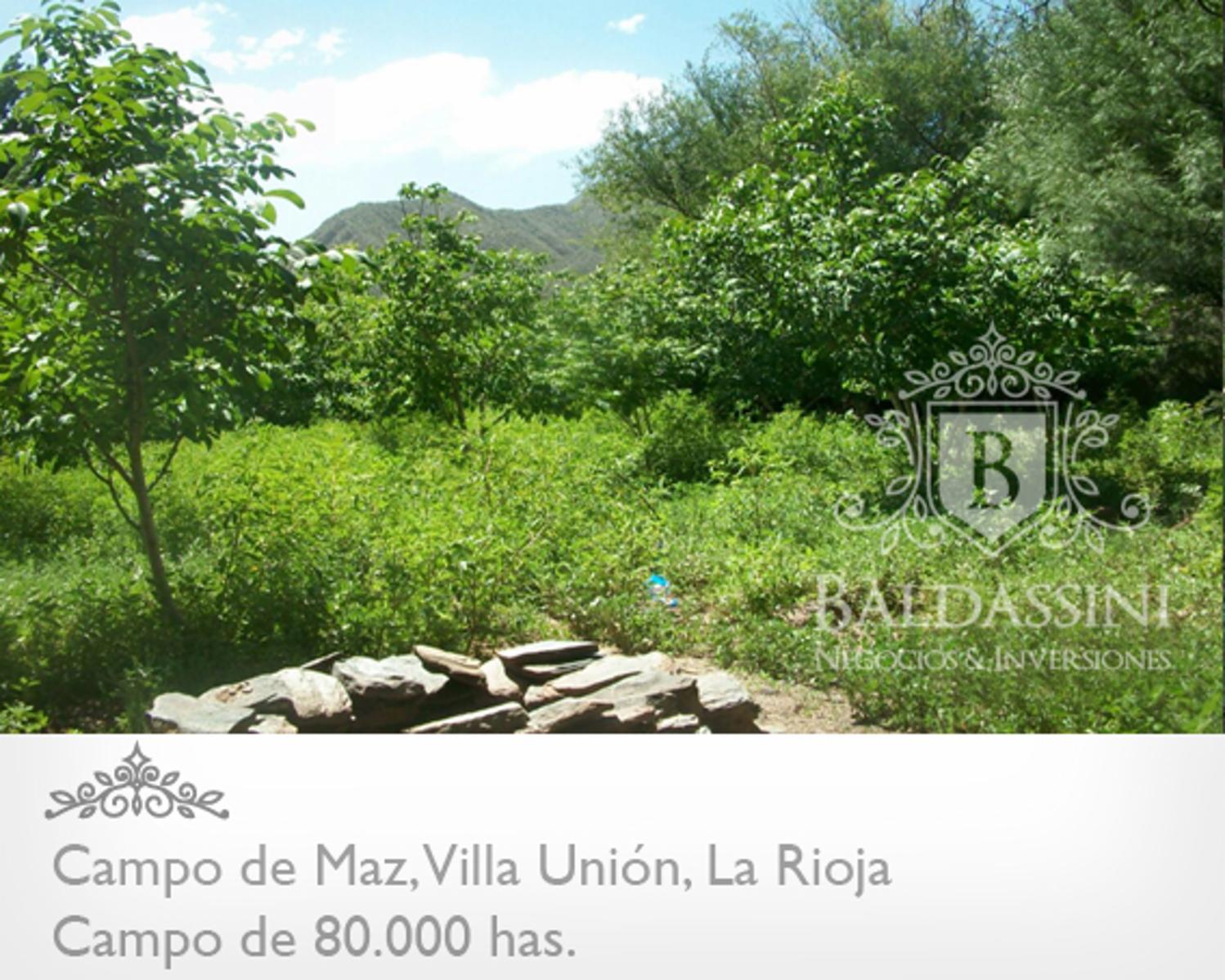 80000 has en Villa Unión - La Rioja · Coronel Felipe Varela — foto 5