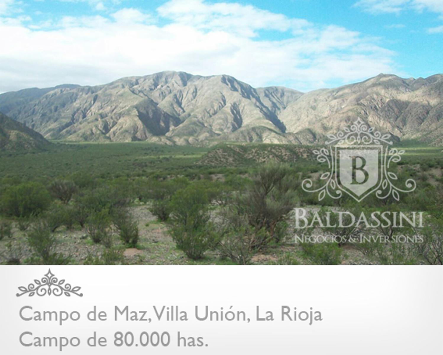 80000 has en Villa Unión - La Rioja · Coronel Felipe Varela — foto 6