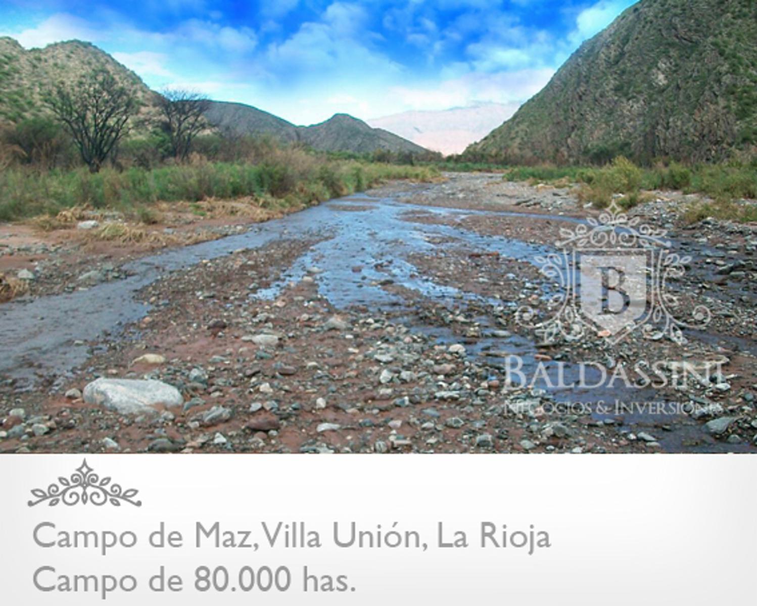 80000 has en Villa Unión - La Rioja · Coronel Felipe Varela — foto 7