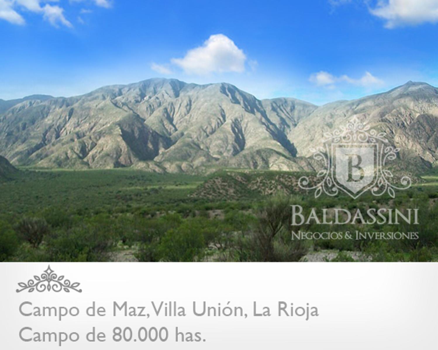 80000 has en Villa Unión - La Rioja · Coronel Felipe Varela — foto 8