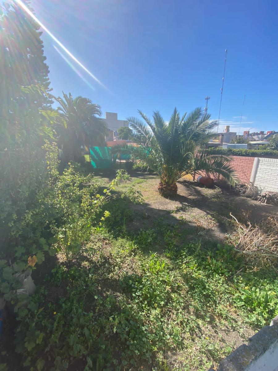 ROCA 400 VIEDMA · Adolfo Alsina — foto 17