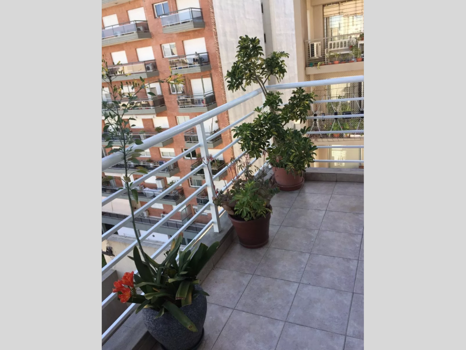Bacacay 1700 · Flores — foto 9