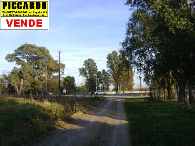 San Enrique · General Rodriguez — foto 3