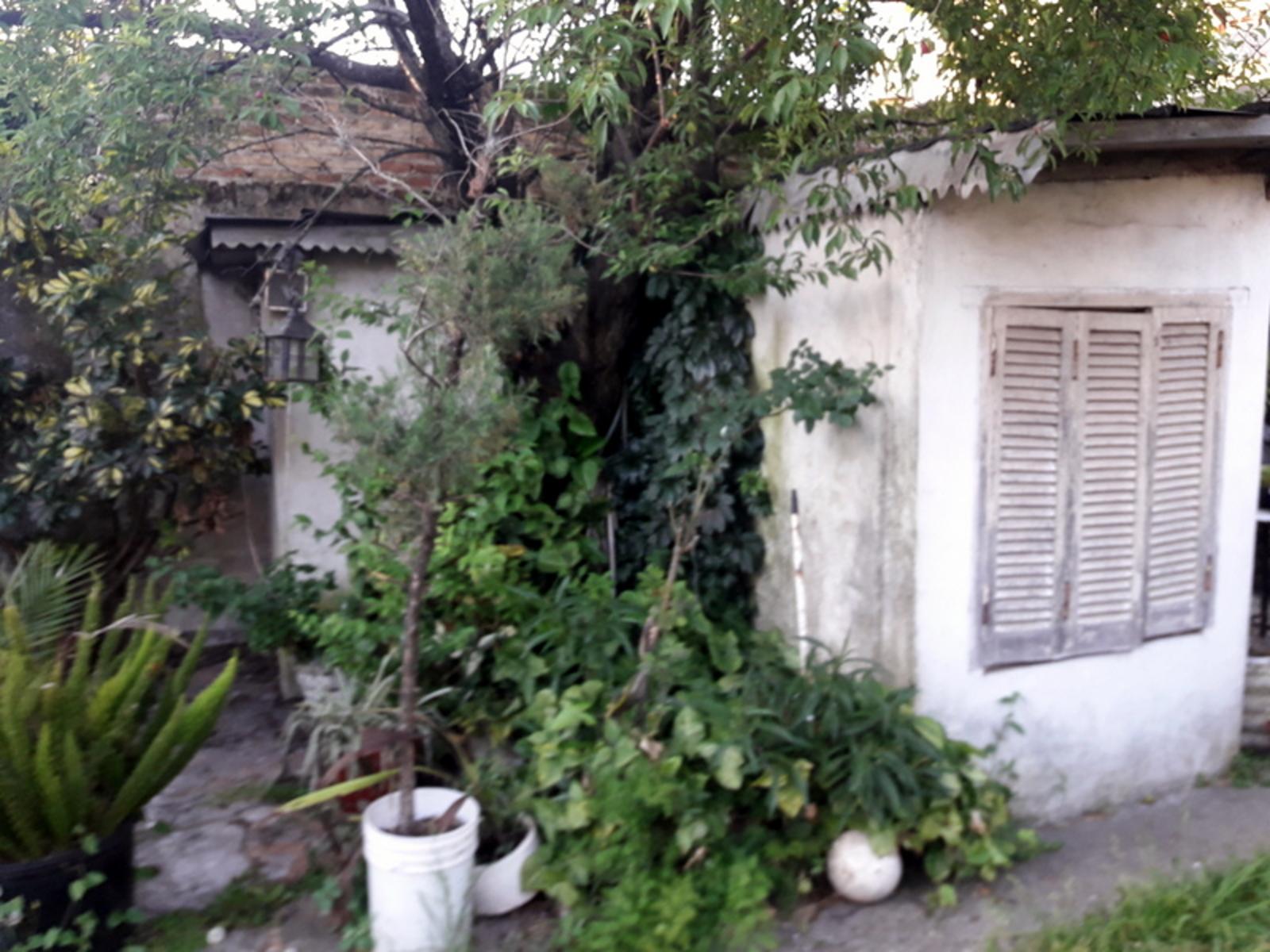 ALVEAR · San Martín — foto 6