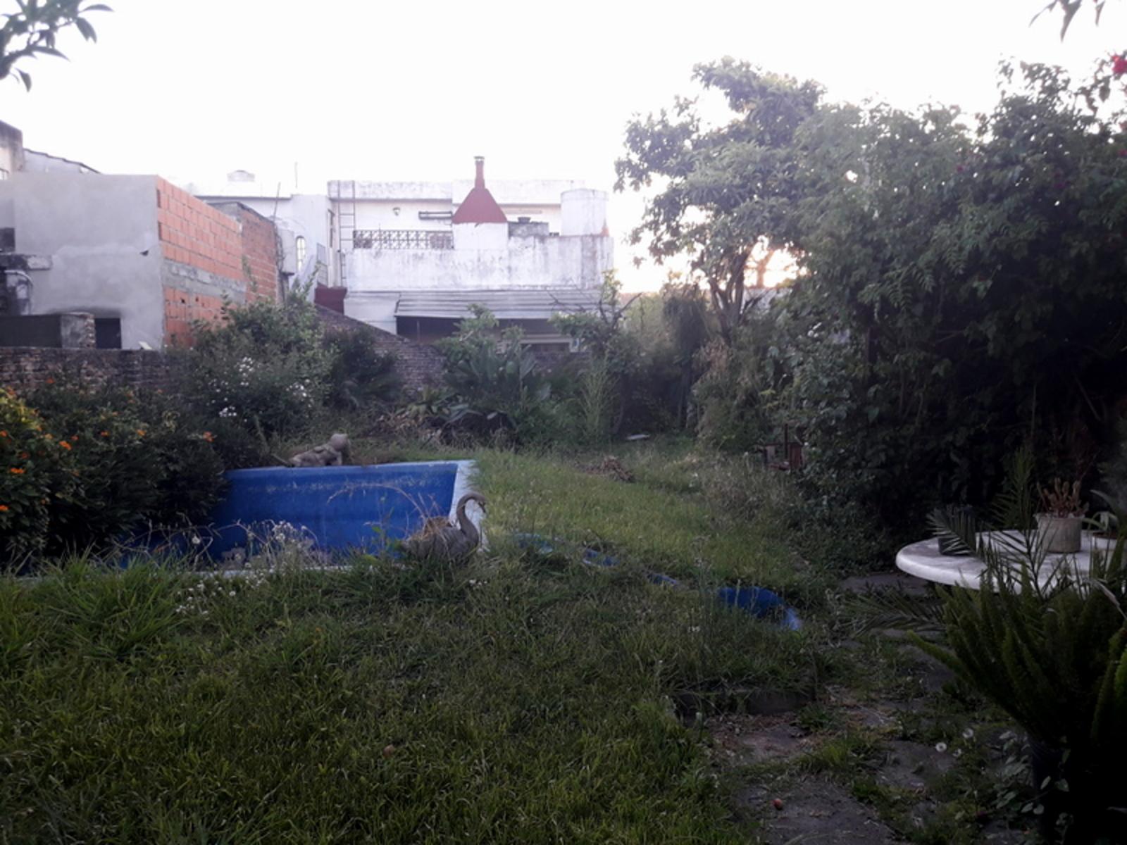 ALVEAR · San Martín — foto 7