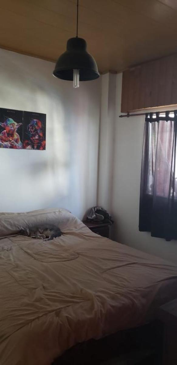 Pasteur 2900 · San Fernando — foto 5