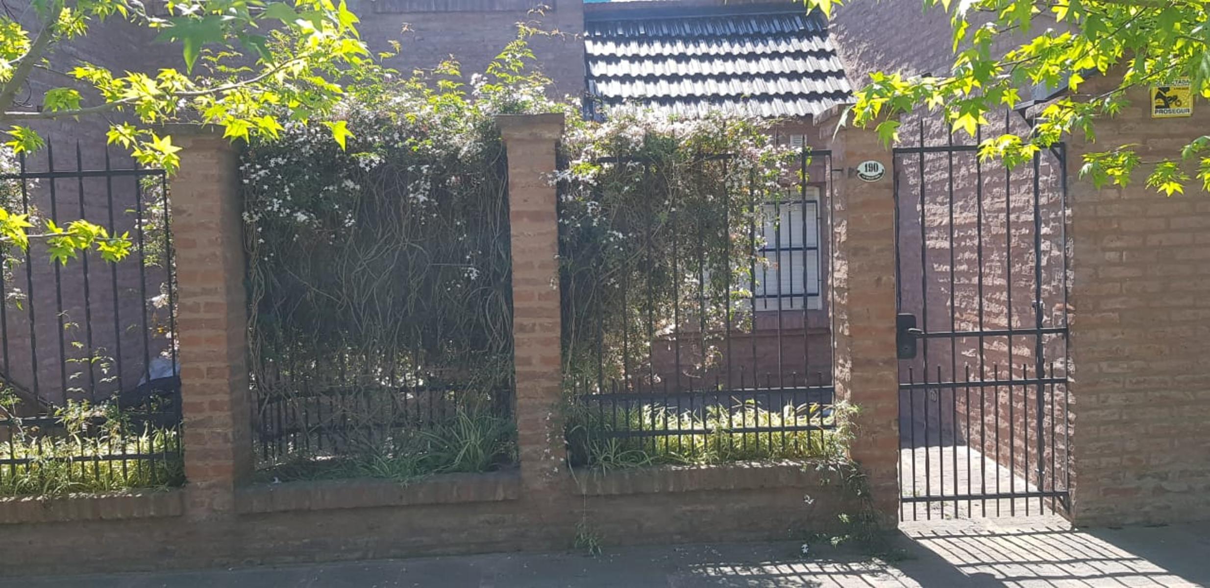 Lettieri 100 · Moreno — foto 3