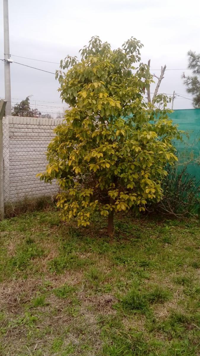 MITRE 1200 · San Vicente — foto 6