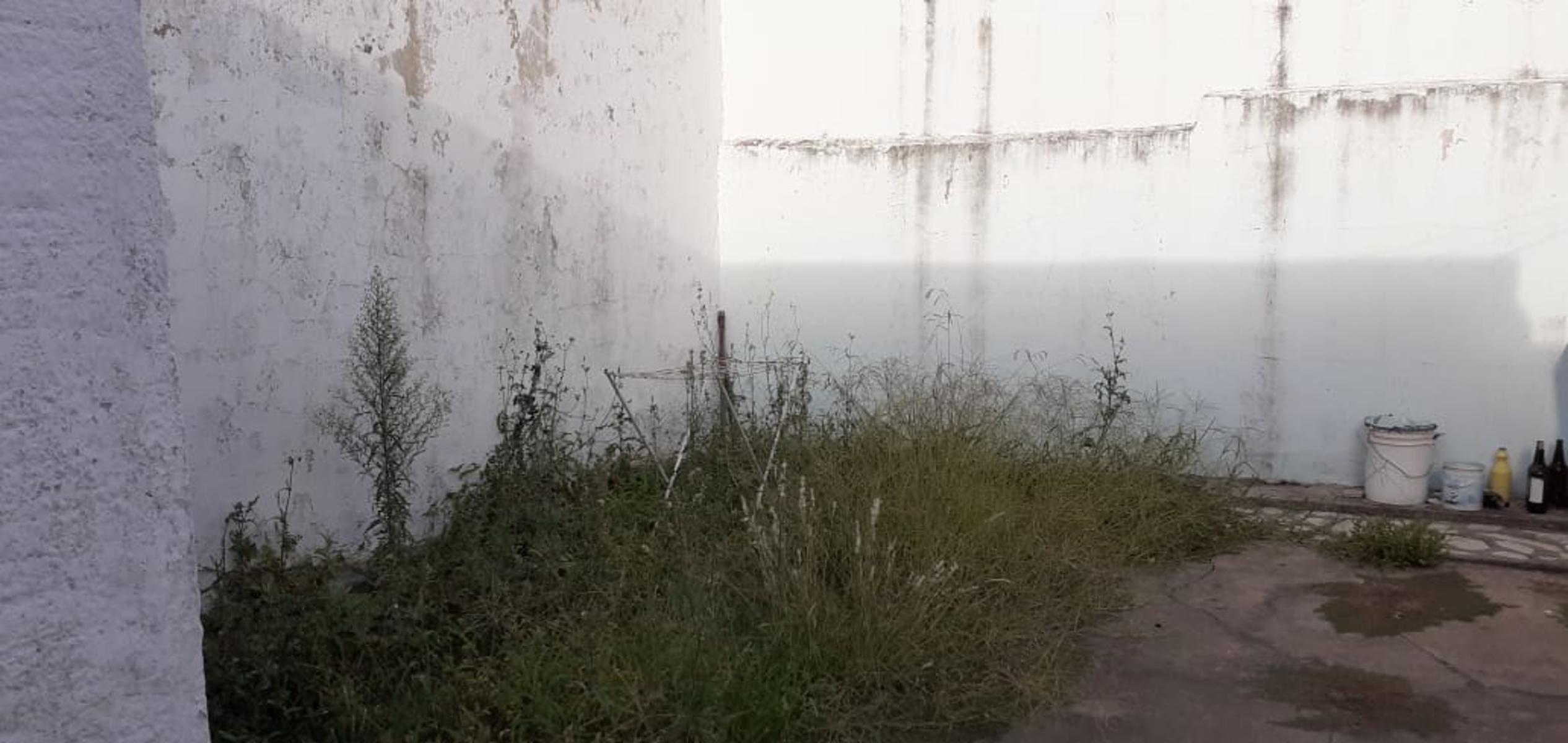 PAYRO · Morón — foto 4