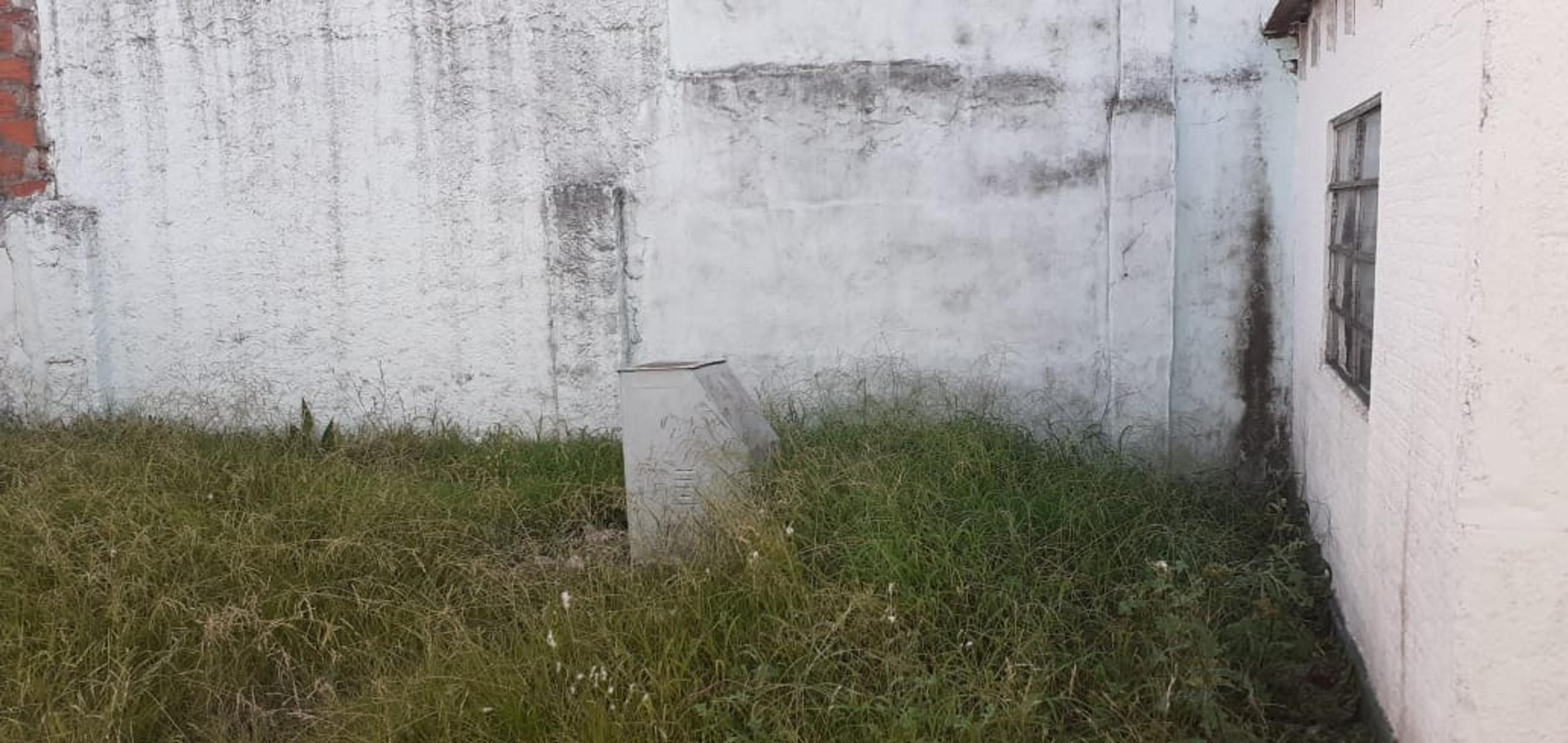 PAYRO · Morón — foto 7