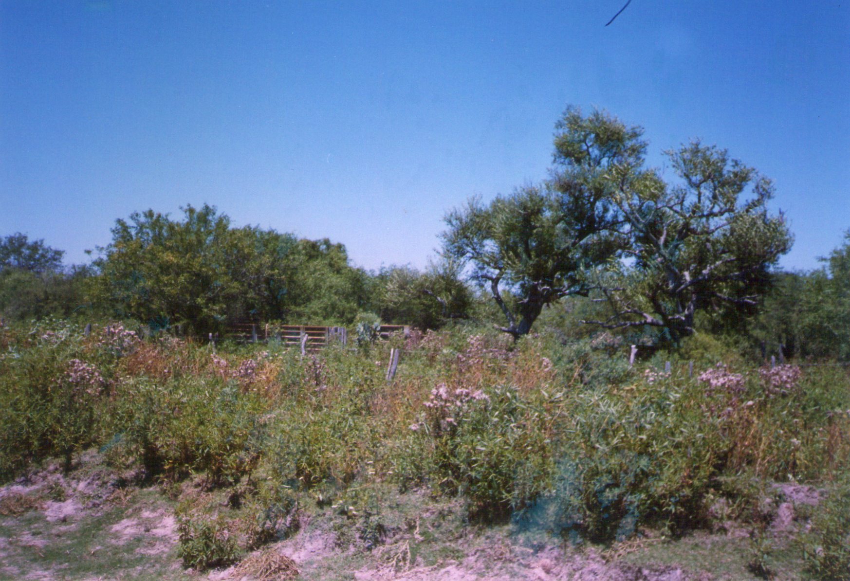Ruta Nacional 34 · Aguirre — foto 3
