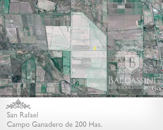 200 HECTÁREAS EN MENDOZA - CAMPO GANADERO ARMADO - MUY BUENOS ACCESOS