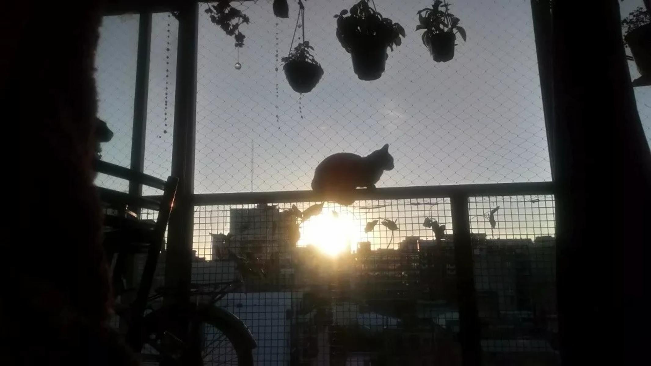 SAAVEDRA 100 · Balvanera — foto 3