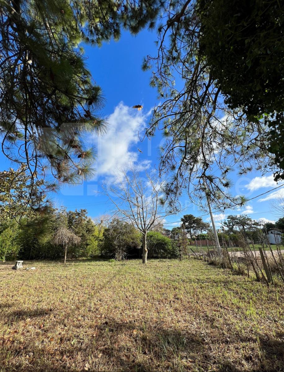 Lote Multifamiliar en Zona Sur