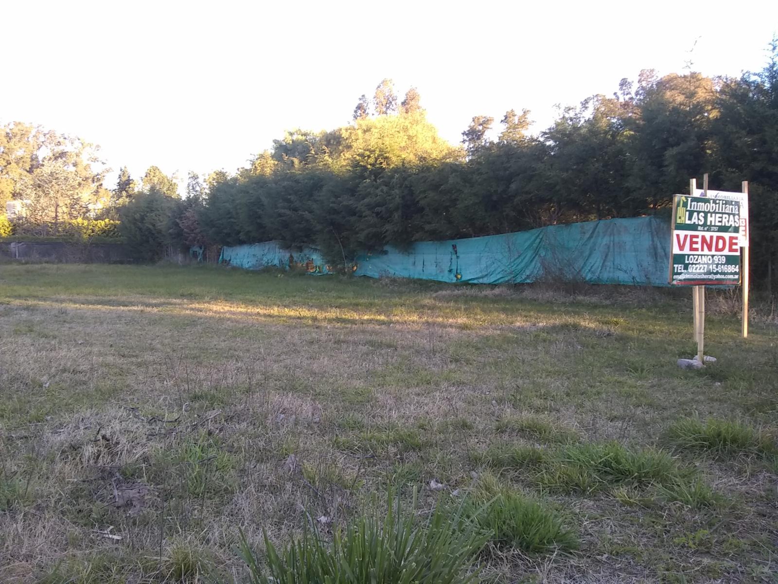 Amplio terreno de 952 m² en excelente ubicación residencial