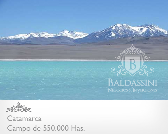 CAMPO DE 520.000 HECTÁREAS EN CATAMARCA CON MINERÍA Y  POSIBILIDADDEAGRICULTURA/GANADERÍA / CON ESCRITURAS PERFECTAS /