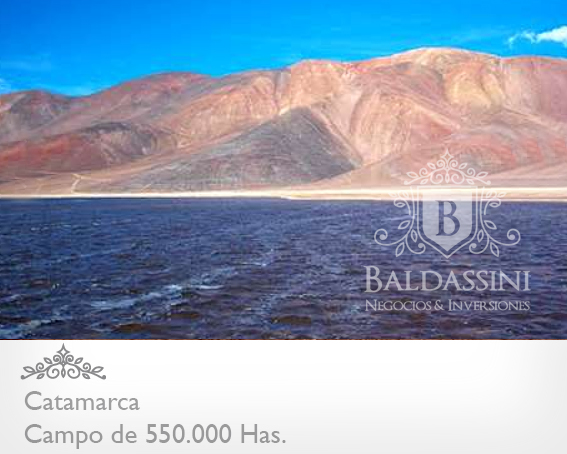 520.000 HAS. EN CATAMARCA · Tinogasta — foto 3