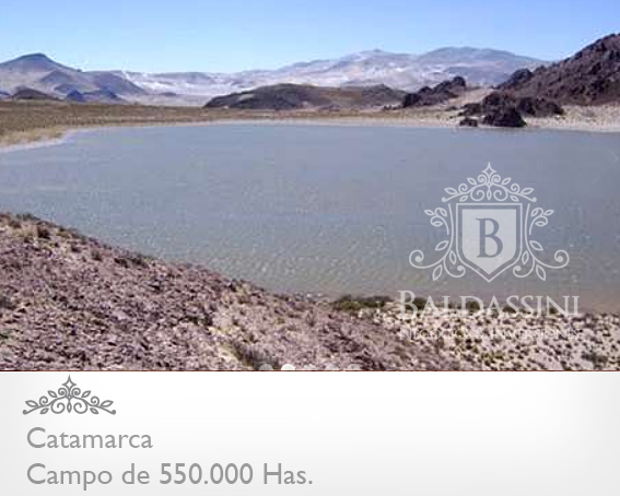 520.000 HAS. EN CATAMARCA · Tinogasta — foto 4