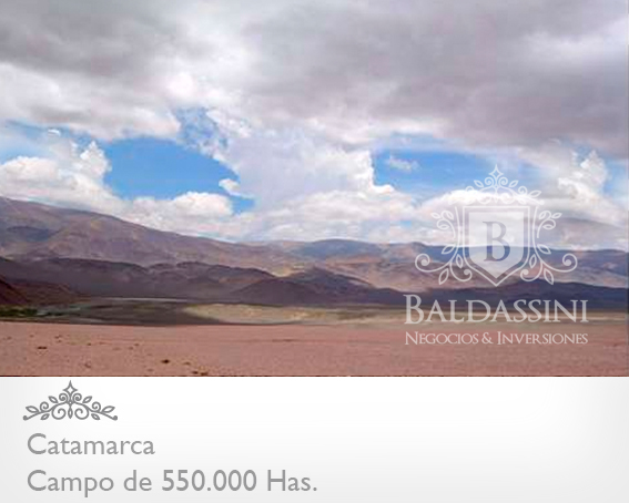 520.000 HAS. EN CATAMARCA · Tinogasta — foto 5