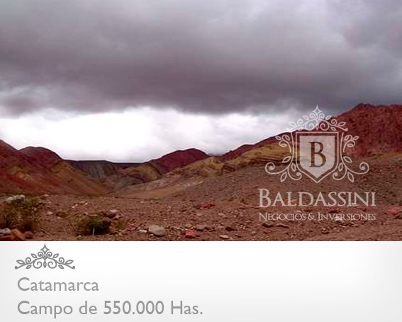 520.000 HAS. EN CATAMARCA · Tinogasta — foto 6