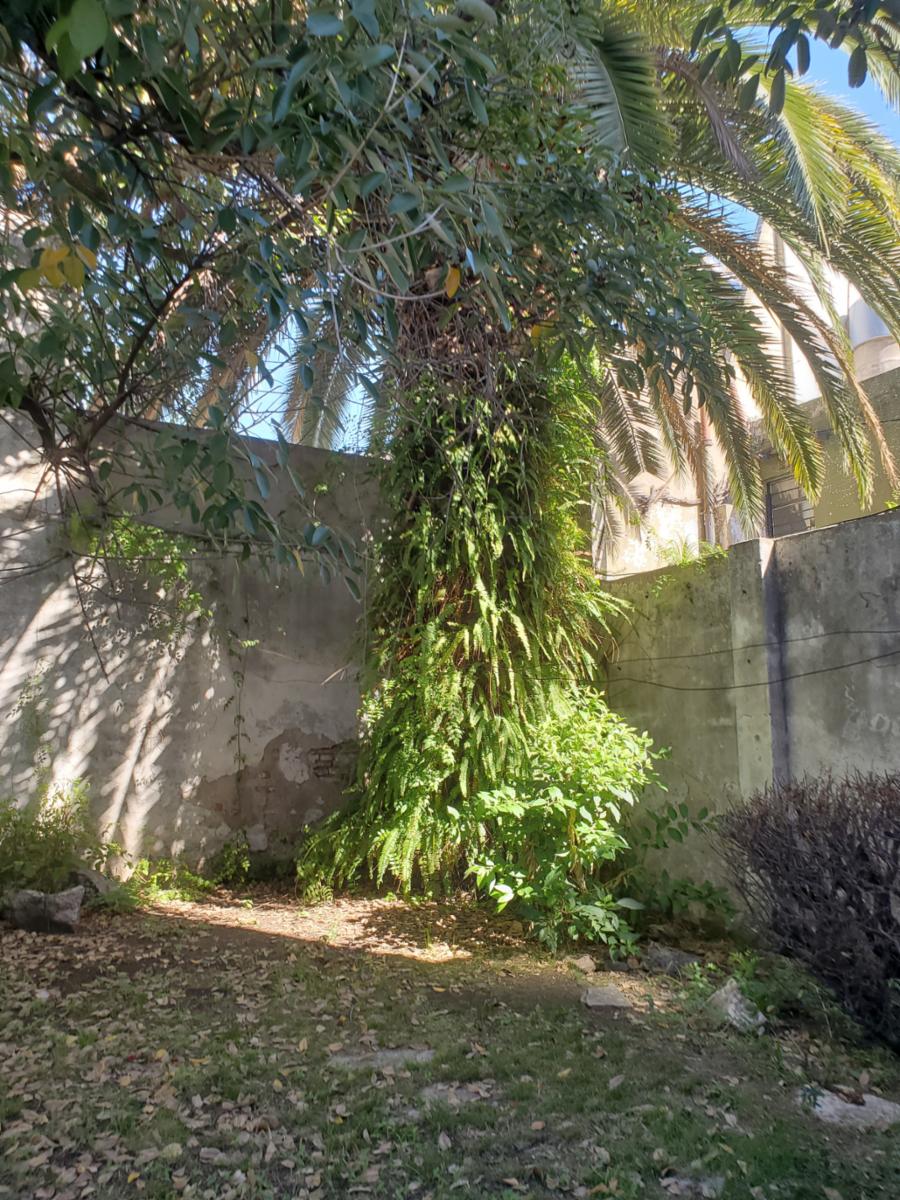 REMEDIOS 3200 · Parque Avellaneda — foto 4