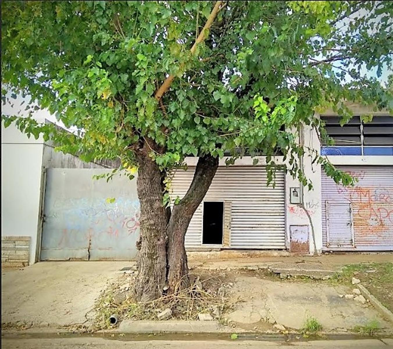 TRES ARROYO 1200 · Morón — foto 5