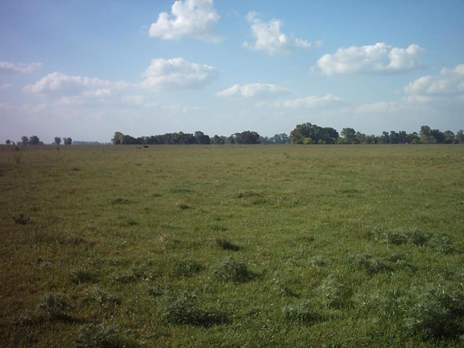 4 KM RUTA 6 Y 2000 MTROS DEL PUEBLO · General Las Heras — foto 12