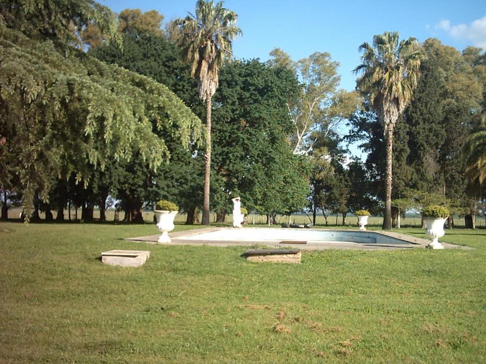 4 KM RUTA 6 Y 2000 MTROS DEL PUEBLO · General Las Heras — foto 19
