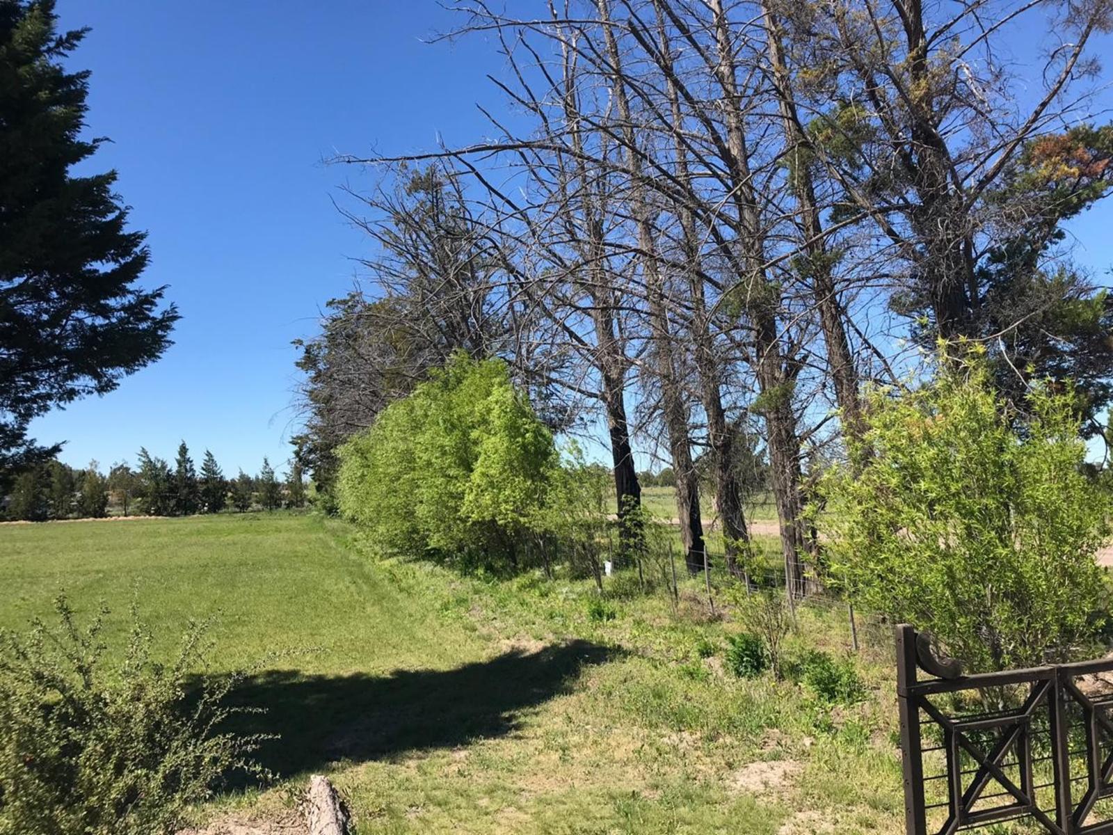 CLUB DE CAMPO DONDE EL SOL NACE VIEDMA · Adolfo Alsina — foto 11