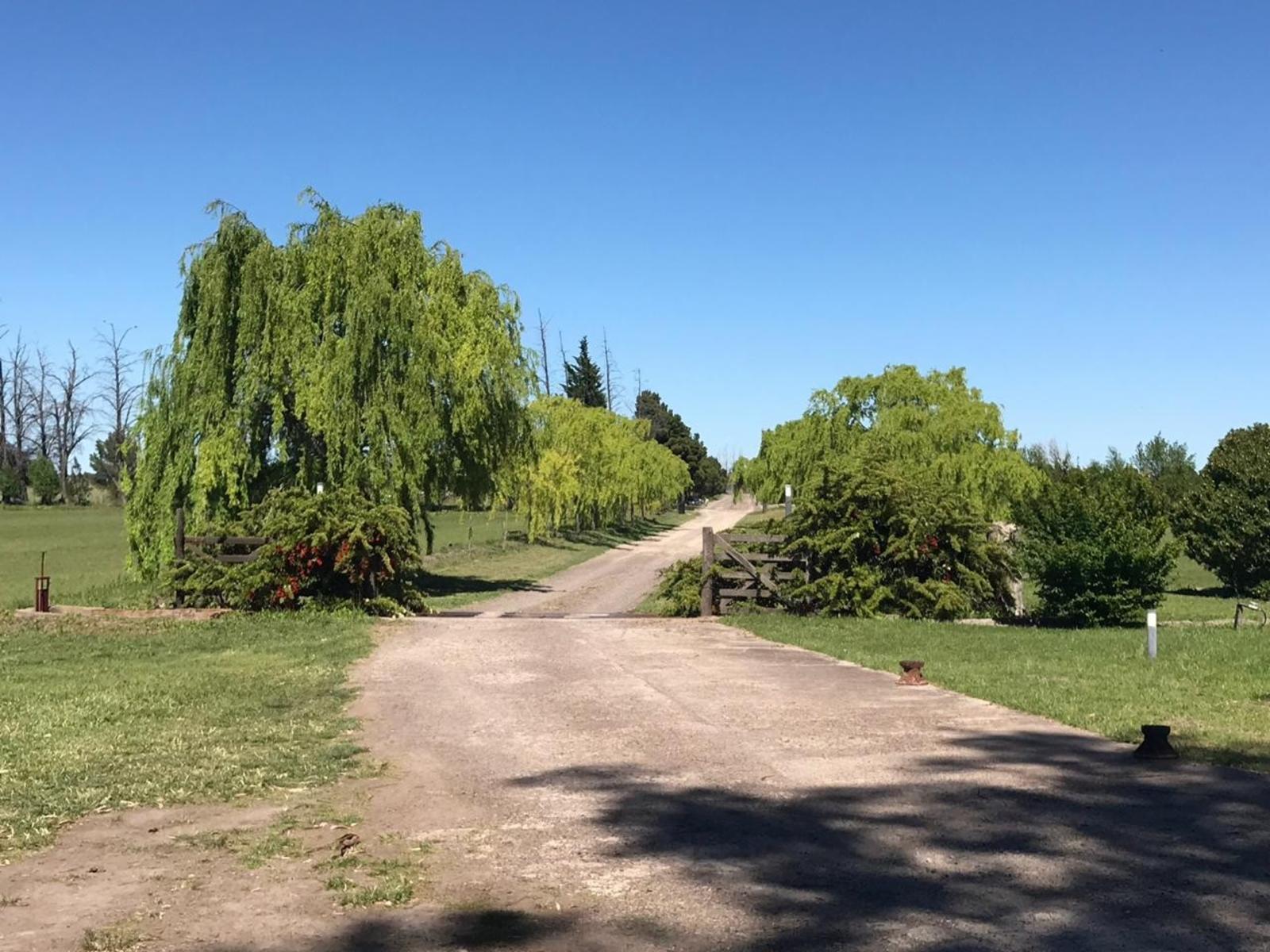 CLUB DE CAMPO DONDE EL SOL NACE VIEDMA · Adolfo Alsina — foto 14