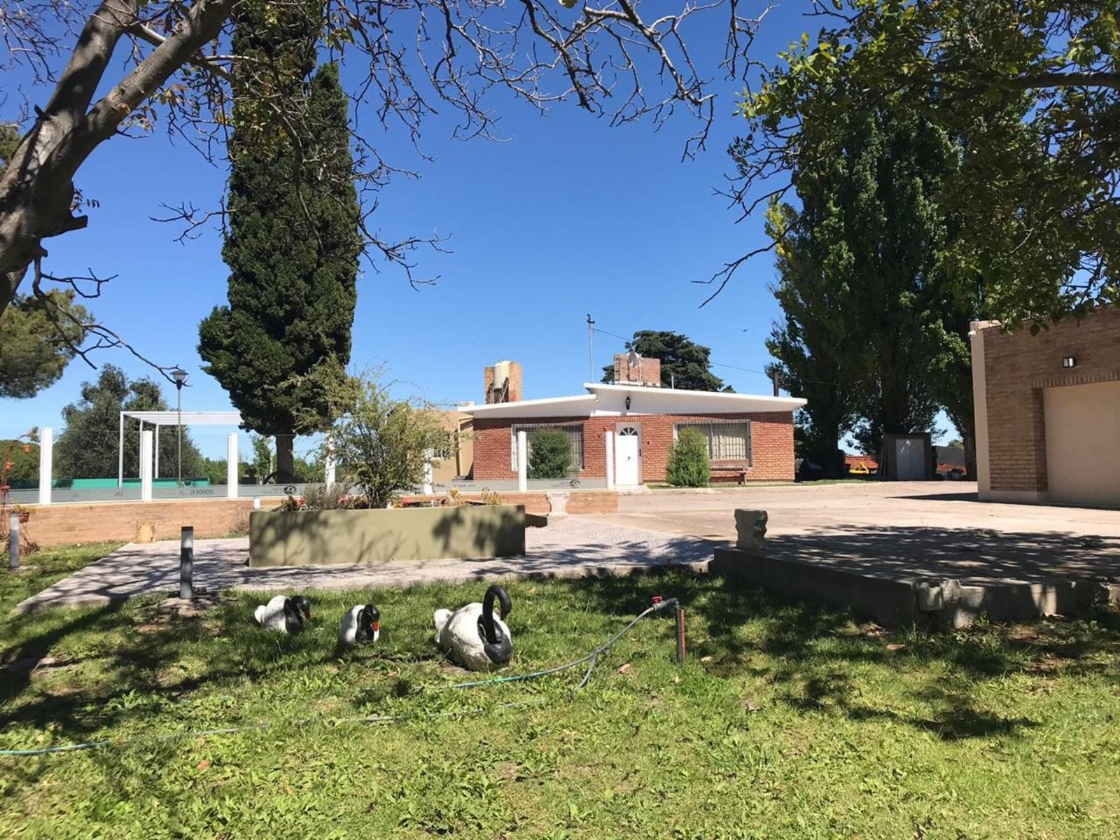 CLUB DE CAMPO DONDE EL SOL NACE VIEDMA · Adolfo Alsina — foto 18