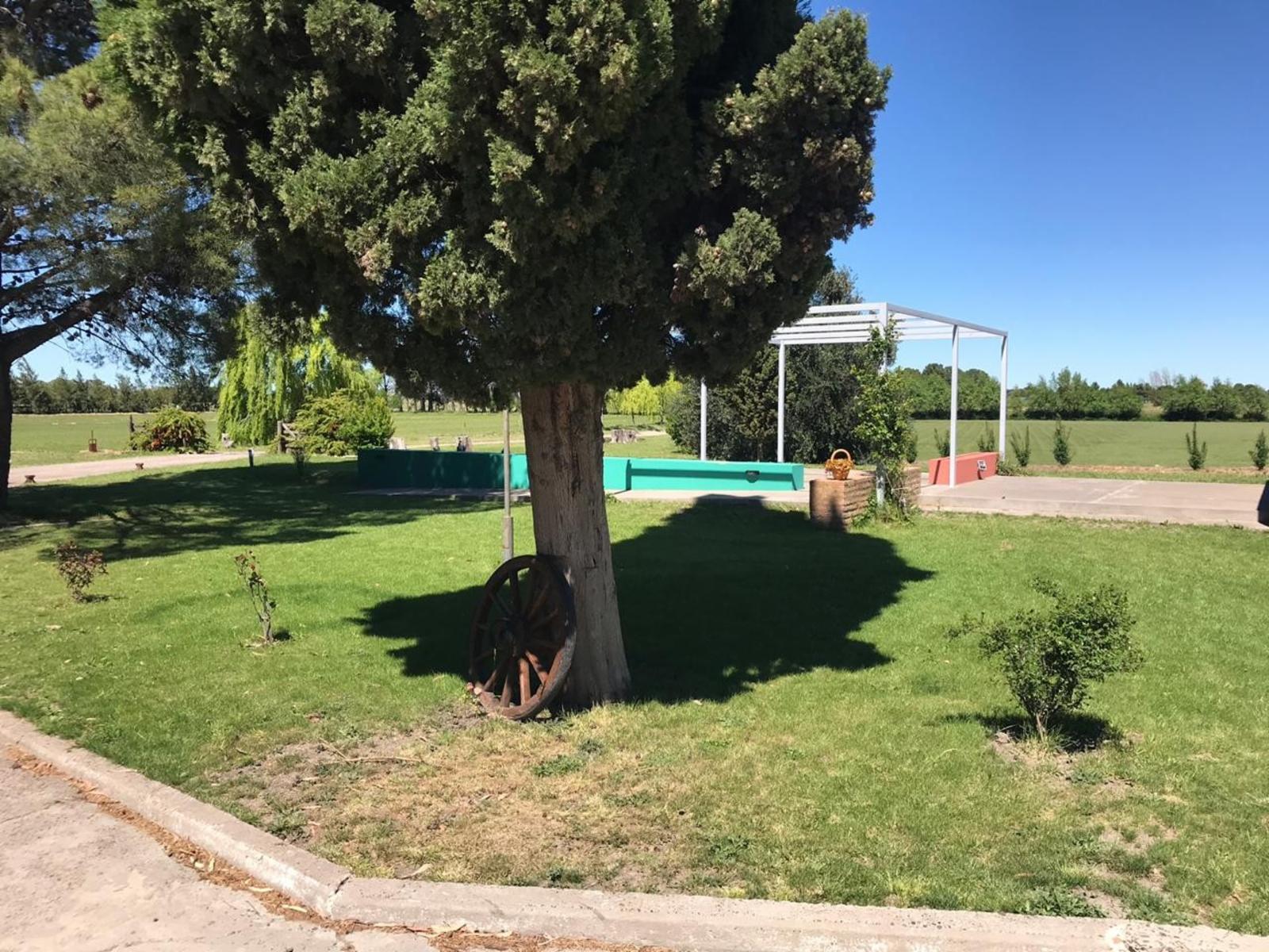 CLUB DE CAMPO DONDE EL SOL NACE VIEDMA · Adolfo Alsina — foto 29