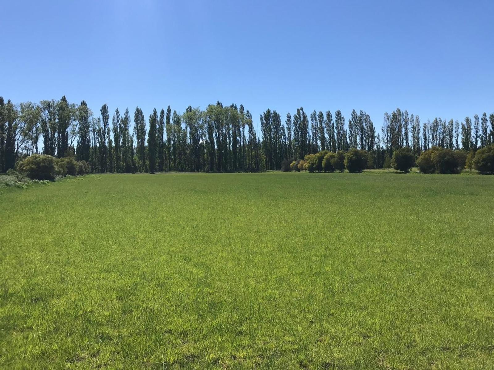 CLUB DE CAMPO DONDE EL SOL NACE VIEDMA · Adolfo Alsina — foto 32