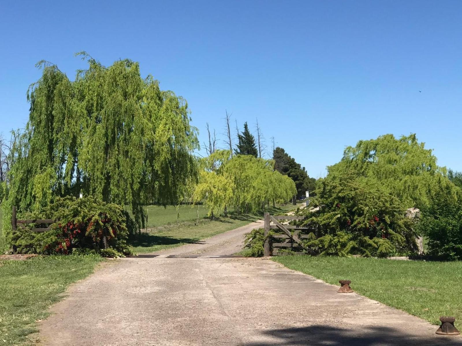 CLUB DE CAMPO DONDE EL SOL NACE VIEDMA · Adolfo Alsina — foto 34