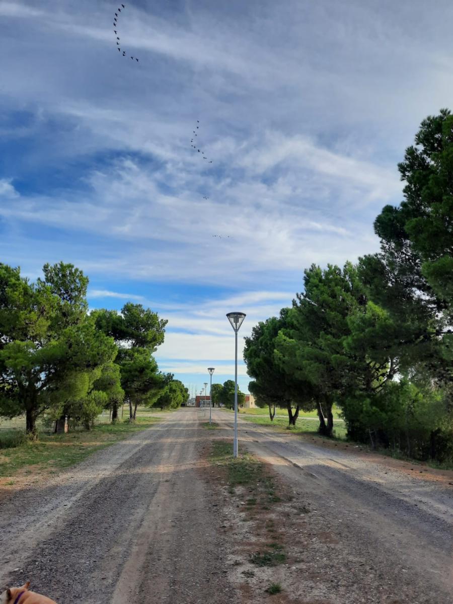 CLUB DE CAMPO DONDE EL SOL NACE VIEDMA · Adolfo Alsina — foto 8