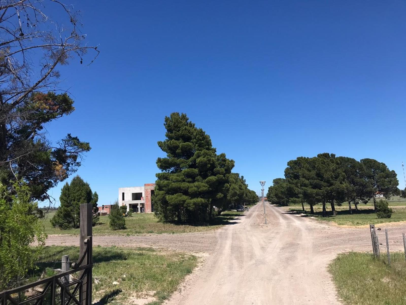 CLUB DE CAMPO DONDE EL SOL NACE VIEDMA · Adolfo Alsina — foto 10